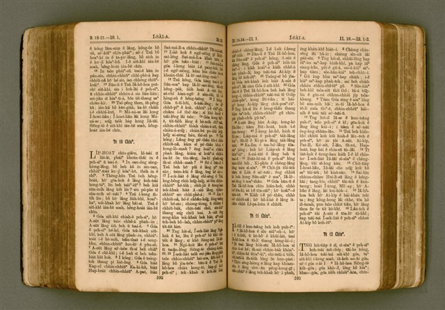 主要名稱：SIN KŪ IOK Ê SÈNG-KENG  TSOÂN SU/其他-其他名稱：新舊約ê聖經全書圖檔，第303張，共571張