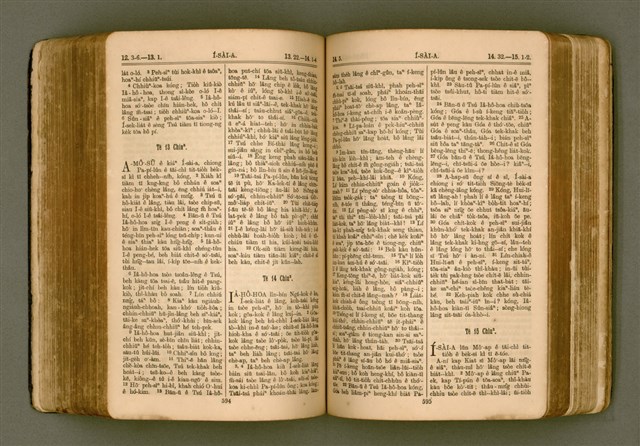 主要名稱：SIN KŪ IOK Ê SÈNG-KENG  TSOÂN SU/其他-其他名稱：新舊約ê聖經全書圖檔，第304張，共571張