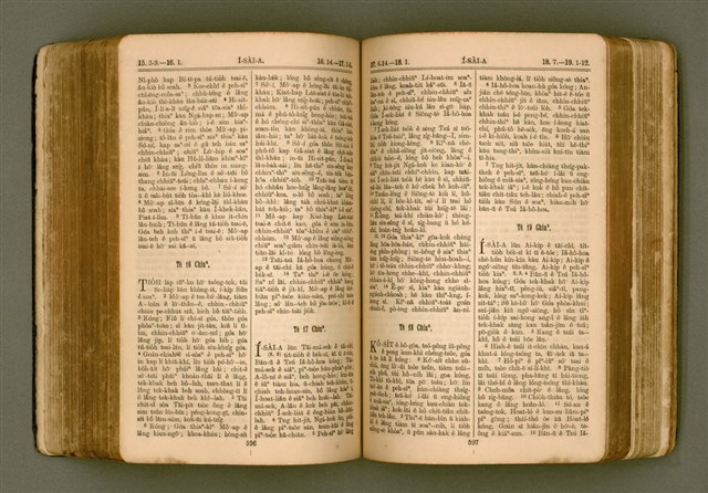 主要名稱：SIN KŪ IOK Ê SÈNG-KENG  TSOÂN SU/其他-其他名稱：新舊約ê聖經全書圖檔，第305張，共571張