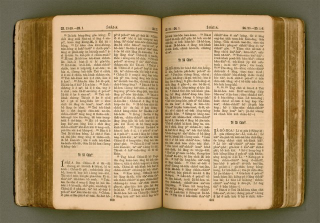 主要名稱：SIN KŪ IOK Ê SÈNG-KENG  TSOÂN SU/其他-其他名稱：新舊約ê聖經全書圖檔，第307張，共571張