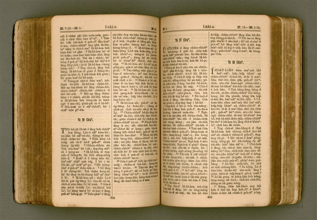 主要名稱：SIN KŪ IOK Ê SÈNG-KENG  TSOÂN SU/其他-其他名稱：新舊約ê聖經全書圖檔，第308張，共571張