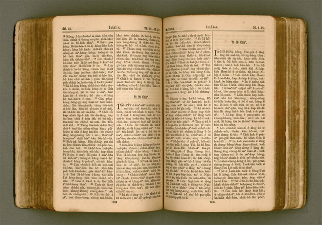 主要名稱：SIN KŪ IOK Ê SÈNG-KENG  TSOÂN SU/其他-其他名稱：新舊約ê聖經全書圖檔，第309張，共571張