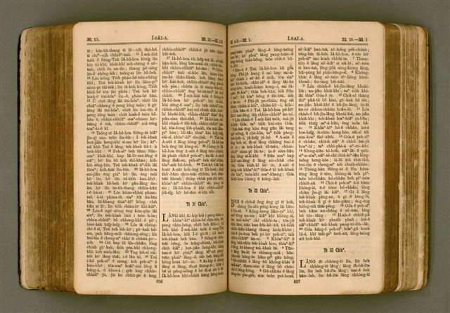 主要名稱：SIN KŪ IOK Ê SÈNG-KENG  TSOÂN SU/其他-其他名稱：新舊約ê聖經全書圖檔，第310張，共571張