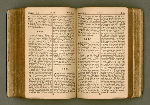 主要名稱：SIN KŪ IOK Ê SÈNG-KENG  TSOÂN SU/其他-其他名稱：新舊約ê聖經全書圖檔，第313張，共571張