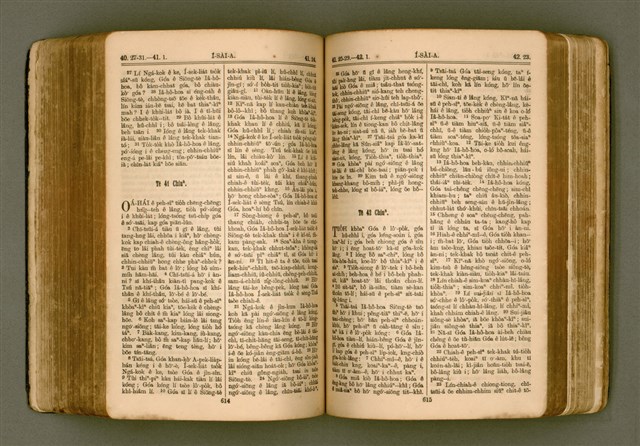 主要名稱：SIN KŪ IOK Ê SÈNG-KENG  TSOÂN SU/其他-其他名稱：新舊約ê聖經全書圖檔，第314張，共571張