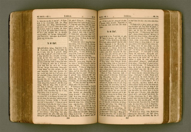 主要名稱：SIN KŪ IOK Ê SÈNG-KENG  TSOÂN SU/其他-其他名稱：新舊約ê聖經全書圖檔，第315張，共571張