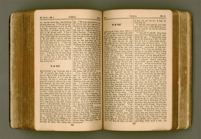 主要名稱：SIN KŪ IOK Ê SÈNG-KENG  TSOÂN SU/其他-其他名稱：新舊約ê聖經全書圖檔，第317張，共571張