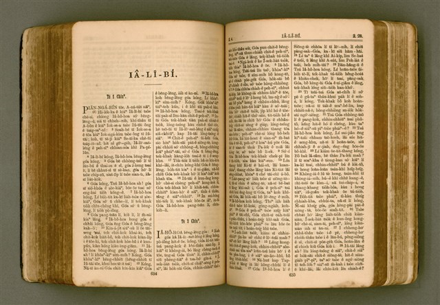 主要名稱：SIN KŪ IOK Ê SÈNG-KENG  TSOÂN SU/其他-其他名稱：新舊約ê聖經全書圖檔，第324張，共571張