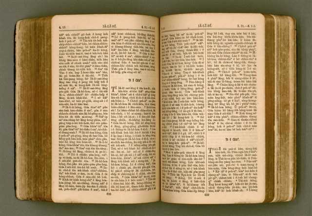 主要名稱：SIN KŪ IOK Ê SÈNG-KENG  TSOÂN SU/其他-其他名稱：新舊約ê聖經全書圖檔，第326張，共571張