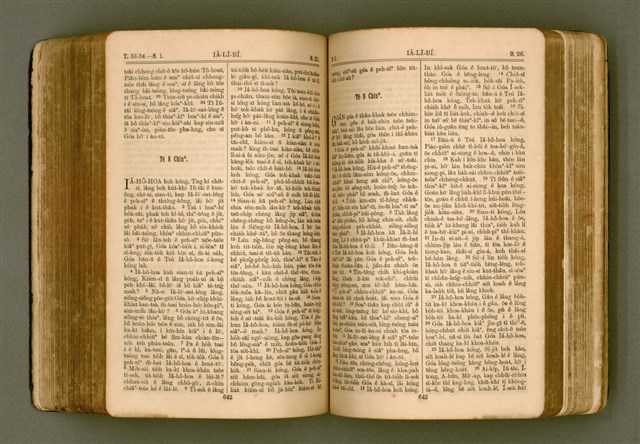 主要名稱：SIN KŪ IOK Ê SÈNG-KENG  TSOÂN SU/其他-其他名稱：新舊約ê聖經全書圖檔，第328張，共571張