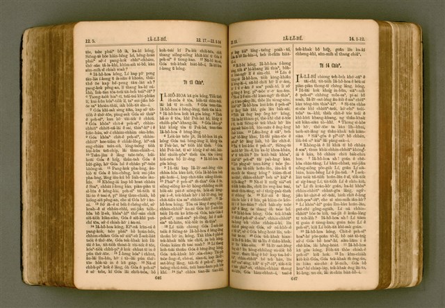 主要名稱：SIN KŪ IOK Ê SÈNG-KENG  TSOÂN SU/其他-其他名稱：新舊約ê聖經全書圖檔，第330張，共571張