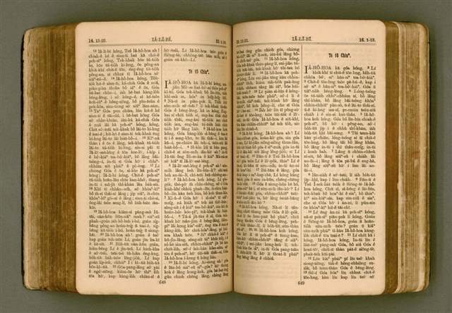 主要名稱：SIN KŪ IOK Ê SÈNG-KENG  TSOÂN SU/其他-其他名稱：新舊約ê聖經全書圖檔，第331張，共571張