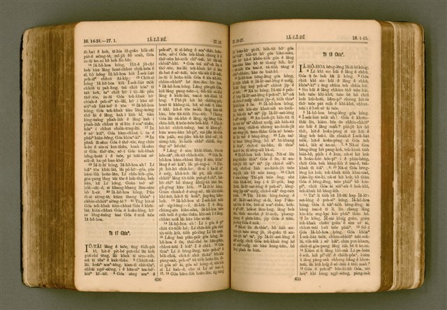 主要名稱：SIN KŪ IOK Ê SÈNG-KENG  TSOÂN SU/其他-其他名稱：新舊約ê聖經全書圖檔，第332張，共571張