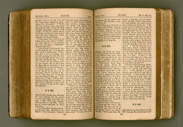 主要名稱：SIN KŪ IOK Ê SÈNG-KENG  TSOÂN SU/其他-其他名稱：新舊約ê聖經全書圖檔，第333張，共571張