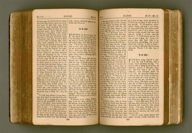 主要名稱：SIN KŪ IOK Ê SÈNG-KENG  TSOÂN SU/其他-其他名稱：新舊約ê聖經全書圖檔，第334張，共571張