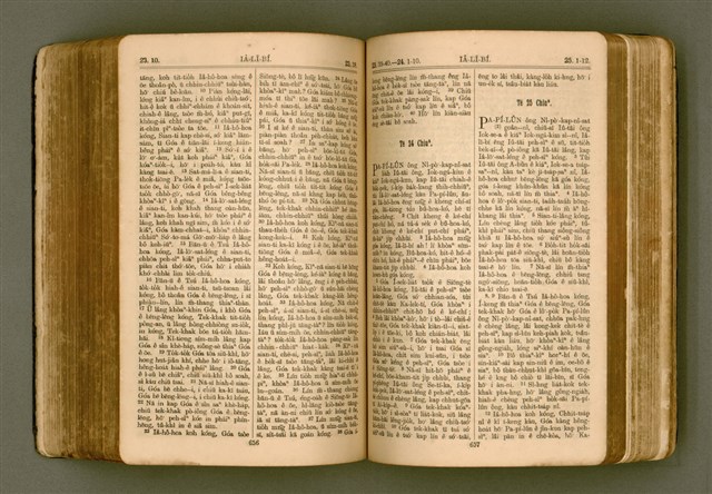 主要名稱：SIN KŪ IOK Ê SÈNG-KENG  TSOÂN SU/其他-其他名稱：新舊約ê聖經全書圖檔，第335張，共571張