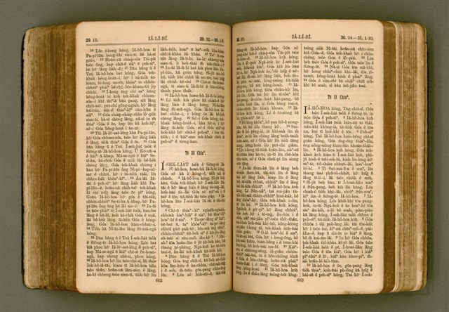 主要名稱：SIN KŪ IOK Ê SÈNG-KENG  TSOÂN SU/其他-其他名稱：新舊約ê聖經全書圖檔，第338張，共571張