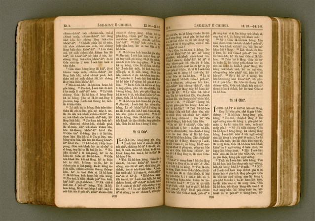 主要名稱：SIN KŪ IOK Ê SÈNG-KENG  TSOÂN SU/其他-其他名稱：新舊約ê聖經全書圖檔，第358張，共571張