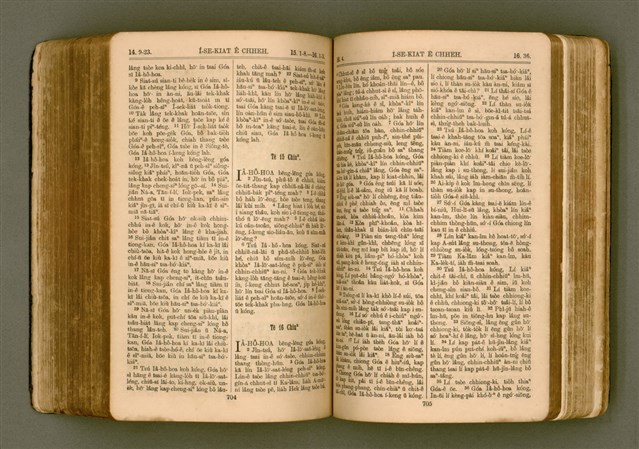 主要名稱：SIN KŪ IOK Ê SÈNG-KENG  TSOÂN SU/其他-其他名稱：新舊約ê聖經全書圖檔，第359張，共571張