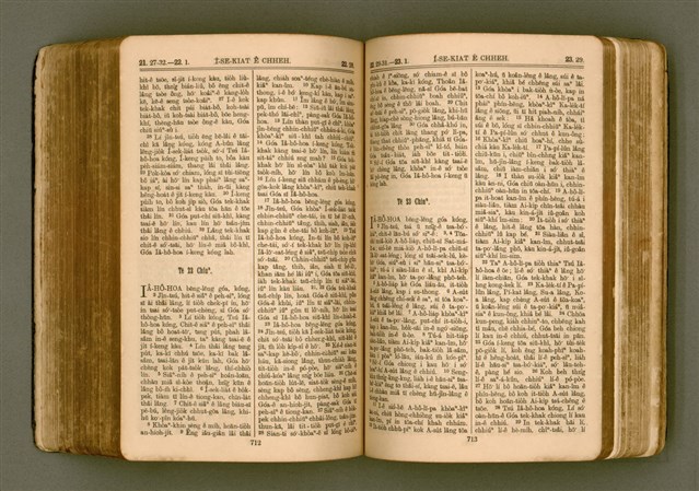 主要名稱：SIN KŪ IOK Ê SÈNG-KENG  TSOÂN SU/其他-其他名稱：新舊約ê聖經全書圖檔，第363張，共571張