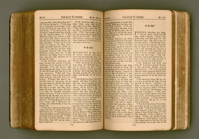 主要名稱：SIN KŪ IOK Ê SÈNG-KENG  TSOÂN SU/其他-其他名稱：新舊約ê聖經全書圖檔，第364張，共571張