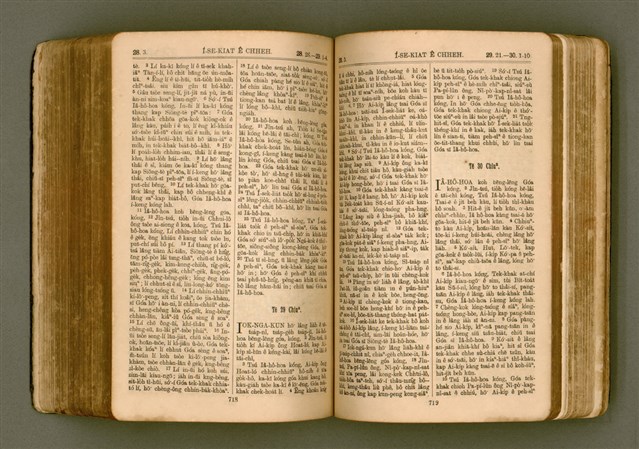 主要名稱：SIN KŪ IOK Ê SÈNG-KENG  TSOÂN SU/其他-其他名稱：新舊約ê聖經全書圖檔，第366張，共571張