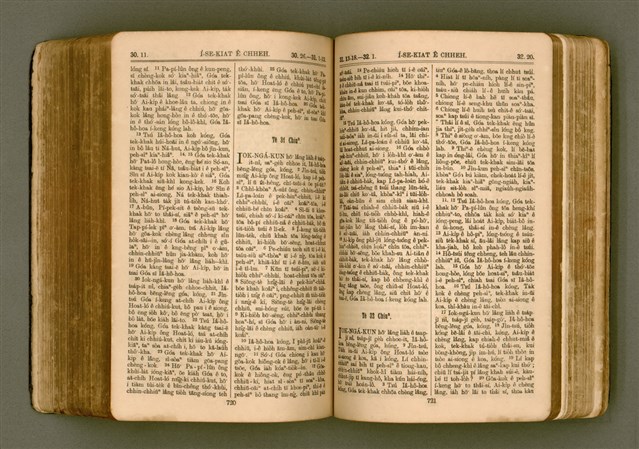 主要名稱：SIN KŪ IOK Ê SÈNG-KENG  TSOÂN SU/其他-其他名稱：新舊約ê聖經全書圖檔，第367張，共571張