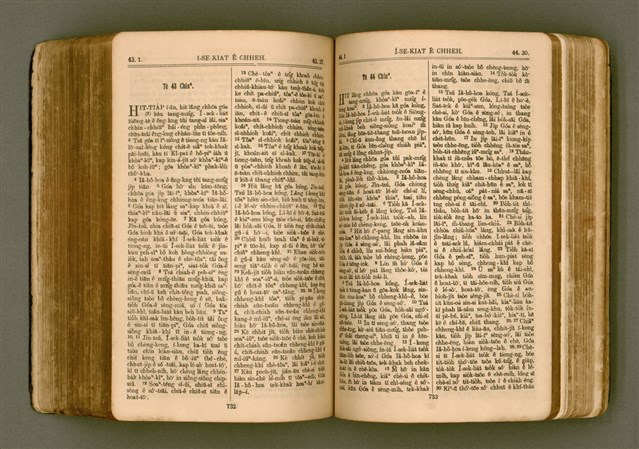 主要名稱：SIN KŪ IOK Ê SÈNG-KENG  TSOÂN SU/其他-其他名稱：新舊約ê聖經全書圖檔，第373張，共571張