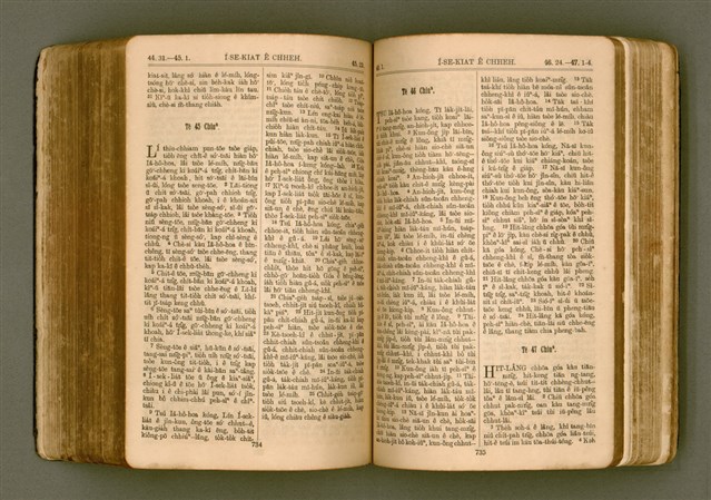 主要名稱：SIN KŪ IOK Ê SÈNG-KENG  TSOÂN SU/其他-其他名稱：新舊約ê聖經全書圖檔，第374張，共571張