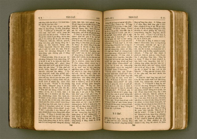 主要名稱：SIN KŪ IOK Ê SÈNG-KENG  TSOÂN SU/其他-其他名稱：新舊約ê聖經全書圖檔，第378張，共571張