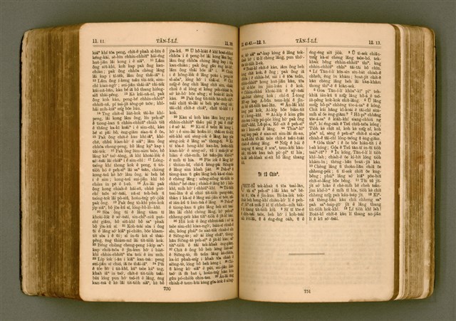 主要名稱：SIN KŪ IOK Ê SÈNG-KENG  TSOÂN SU/其他-其他名稱：新舊約ê聖經全書圖檔，第382張，共571張