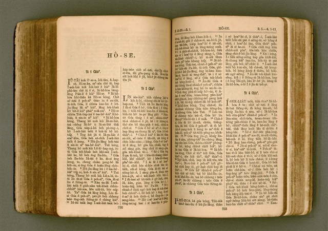 主要名稱：SIN KŪ IOK Ê SÈNG-KENG  TSOÂN SU/其他-其他名稱：新舊約ê聖經全書圖檔，第383張，共571張