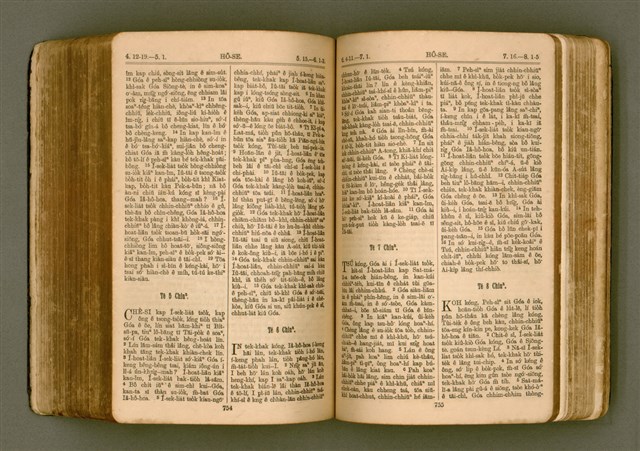 主要名稱：SIN KŪ IOK Ê SÈNG-KENG  TSOÂN SU/其他-其他名稱：新舊約ê聖經全書圖檔，第384張，共571張