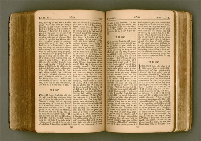 主要名稱：SIN KŪ IOK Ê SÈNG-KENG  TSOÂN SU/其他-其他名稱：新舊約ê聖經全書圖檔，第385張，共571張