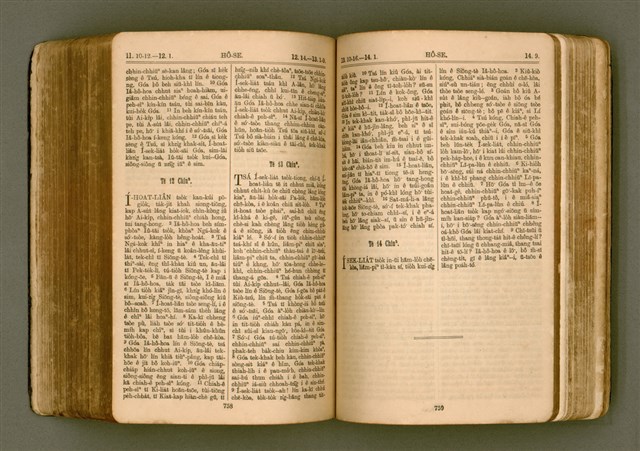 主要名稱：SIN KŪ IOK Ê SÈNG-KENG  TSOÂN SU/其他-其他名稱：新舊約ê聖經全書圖檔，第386張，共571張