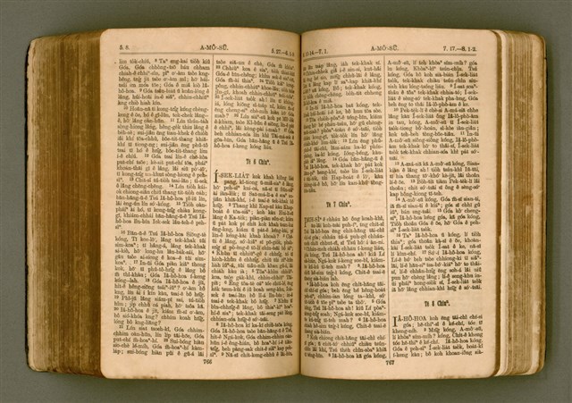 主要名稱：SIN KŪ IOK Ê SÈNG-KENG  TSOÂN SU/其他-其他名稱：新舊約ê聖經全書圖檔，第390張，共571張