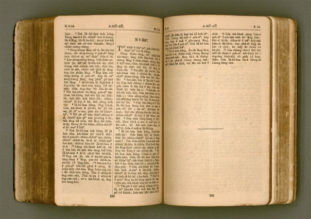 主要名稱：SIN KŪ IOK Ê SÈNG-KENG  TSOÂN SU/其他-其他名稱：新舊約ê聖經全書圖檔，第391張，共571張