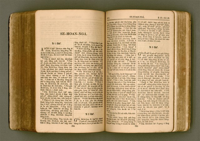 主要名稱：SIN KŪ IOK Ê SÈNG-KENG  TSOÂN SU/其他-其他名稱：新舊約ê聖經全書圖檔，第399張，共571張