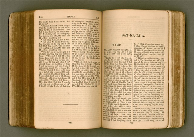 主要名稱：SIN KŪ IOK Ê SÈNG-KENG  TSOÂN SU/其他-其他名稱：新舊約ê聖經全書圖檔，第401張，共571張