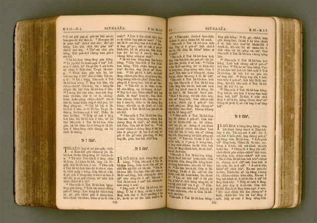 主要名稱：SIN KŪ IOK Ê SÈNG-KENG  TSOÂN SU/其他-其他名稱：新舊約ê聖經全書圖檔，第403張，共571張