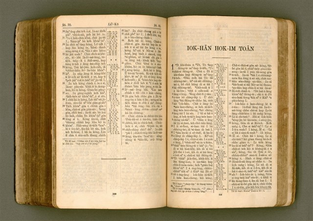 主要名稱：SIN KŪ IOK Ê SÈNG-KENG  TSOÂN SU/其他-其他名稱：新舊約ê聖經全書圖檔，第463張，共571張