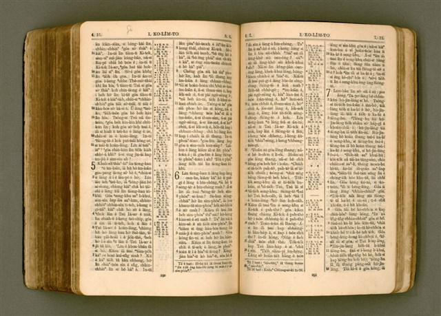 主要名稱：SIN KŪ IOK Ê SÈNG-KENG  TSOÂN SU/其他-其他名稱：新舊約ê聖經全書圖檔，第508張，共571張