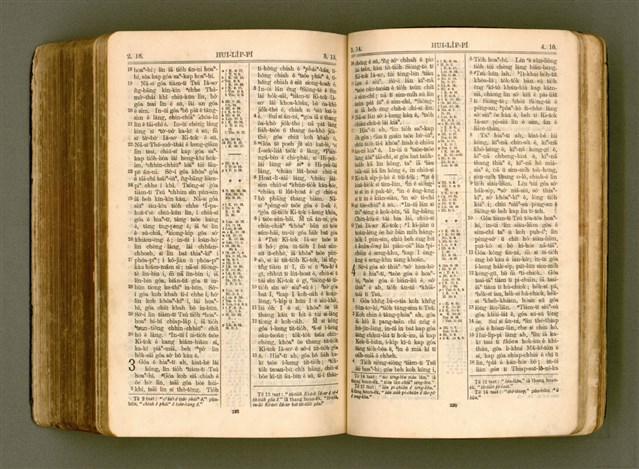 主要名稱：SIN KŪ IOK Ê SÈNG-KENG  TSOÂN SU/其他-其他名稱：新舊約ê聖經全書圖檔，第527張，共571張