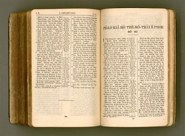 主要名稱：SIN KŪ IOK Ê SÈNG-KENG  TSOÂN SU/其他-其他名稱：新舊約ê聖經全書圖檔，第535張，共571張