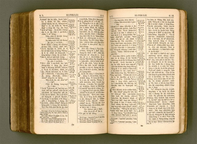 主要名稱：SIN KŪ IOK Ê SÈNG-KENG  TSOÂN SU/其他-其他名稱：新舊約ê聖經全書圖檔，第540張，共571張