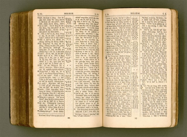 主要名稱：SIN KŪ IOK Ê SÈNG-KENG  TSOÂN SU/其他-其他名稱：新舊約ê聖經全書圖檔，第546張，共571張