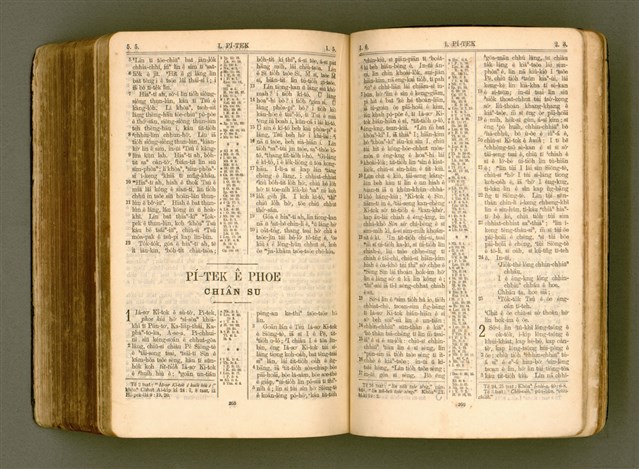 主要名稱：SIN KŪ IOK Ê SÈNG-KENG  TSOÂN SU/其他-其他名稱：新舊約ê聖經全書圖檔，第547張，共571張