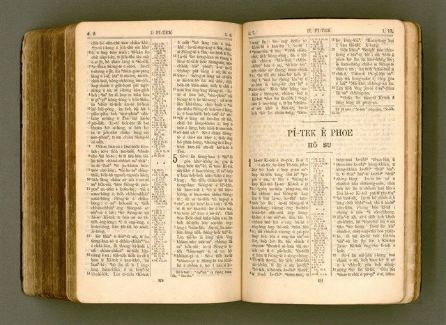 主要名稱：SIN KŪ IOK Ê SÈNG-KENG  TSOÂN SU/其他-其他名稱：新舊約ê聖經全書圖檔，第549張，共571張