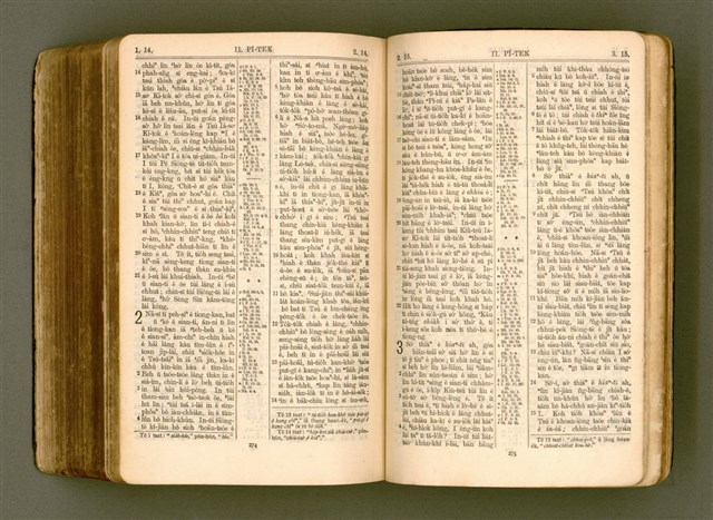 主要名稱：SIN KŪ IOK Ê SÈNG-KENG  TSOÂN SU/其他-其他名稱：新舊約ê聖經全書圖檔，第550張，共571張