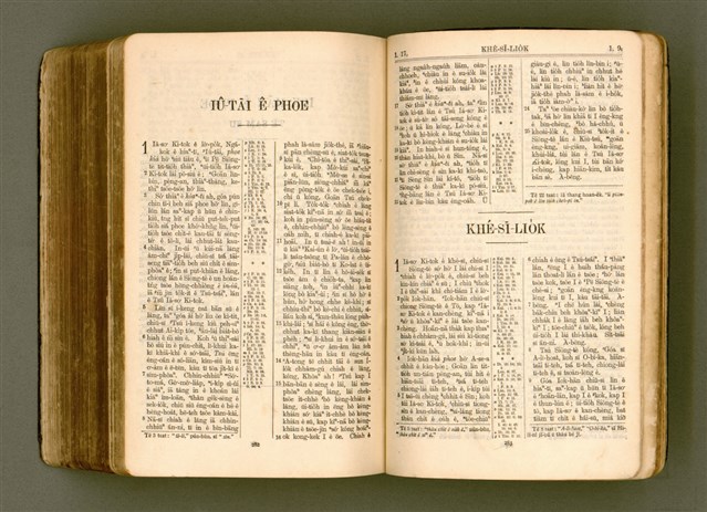 主要名稱：SIN KŪ IOK Ê SÈNG-KENG  TSOÂN SU/其他-其他名稱：新舊約ê聖經全書圖檔，第554張，共571張